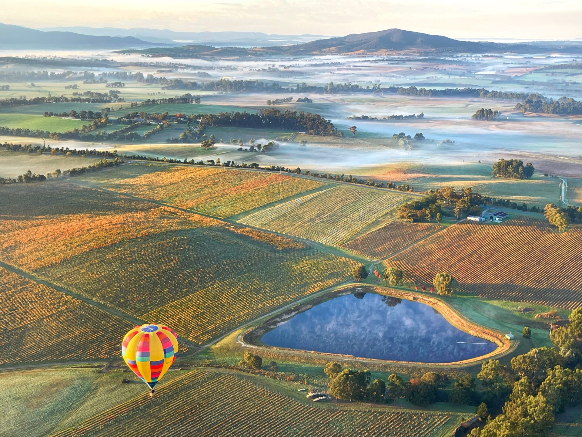 An aerial view of Yarra Valley with a colourful hot air balloon floating across it.