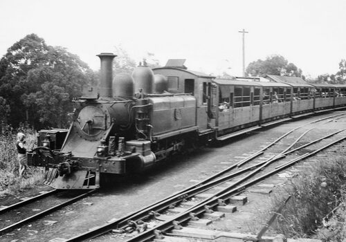 Black and white photo of Puffing Billy Railway in the early 1900s.